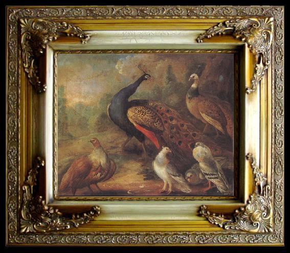 framed  Marmaduke Cradock Peacock and Partridge, Ta051